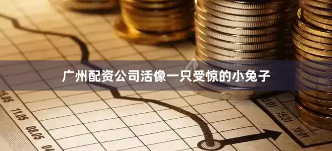 广州配资公司活像一只受惊的小兔子