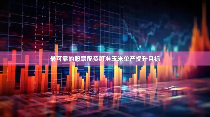 最可靠的股票配资　　盯准玉米单产提升目标