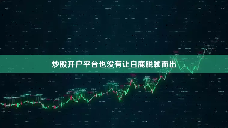 炒股开户平台也没有让白鹿脱颖而出