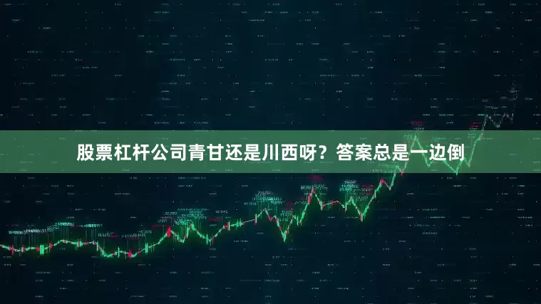 股票杠杆公司青甘还是川西呀?答案总是一边倒