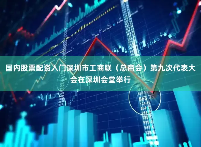 国内股票配资入门深圳市工商联（总商会）第九次代表大会在深圳会堂举行