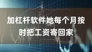 加杠杆软件她每个月按时把工资寄回家