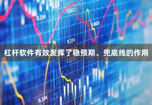 杠杆软件有效发挥了稳预期、兜底线的作用